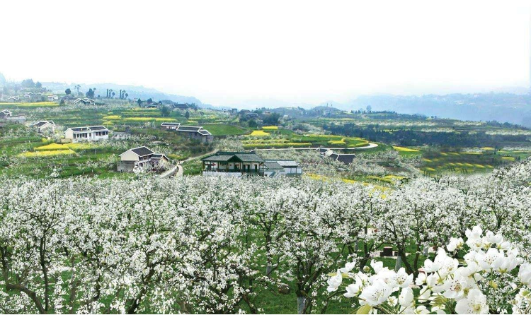 大理巍山马鞍山乡图片